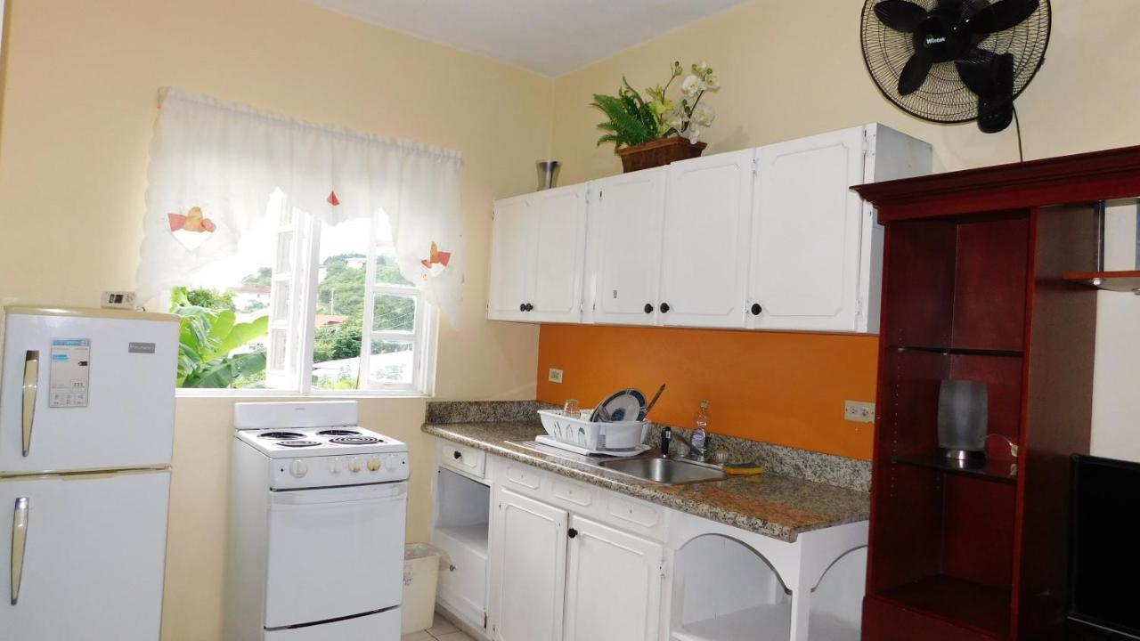 Dancehall Hostel Kingston Ngoại thất bức ảnh
