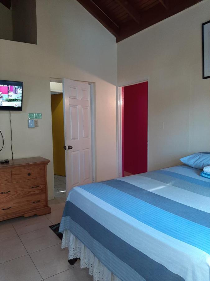 Dancehall Hostel Kingston Ngoại thất bức ảnh